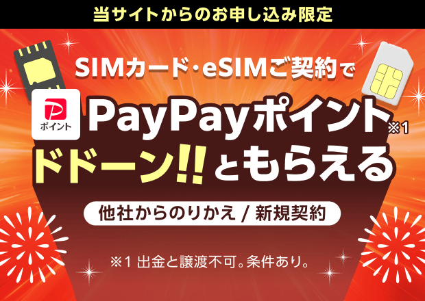 ワイモバイル SIMのみ乗り換えでPayPayポイント還元